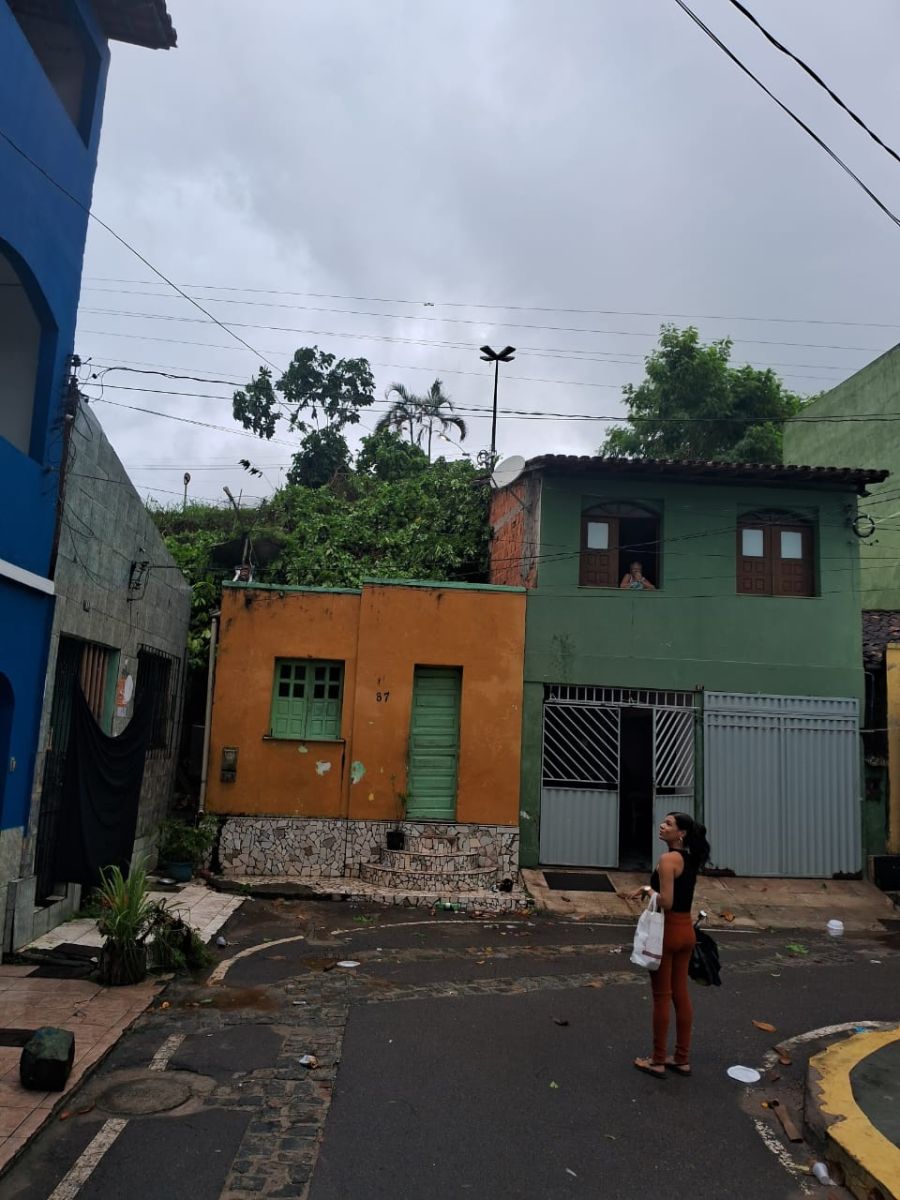 ARVORE-CAI-SOBRE-RESIDENCIAS-NO-BAIRRO-PRINCESA-ISABEL-EM-ILHEUS-2