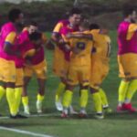 Colo colo