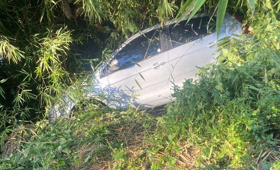 CARRO-SAI-DA-PISTA-E-COLIDE-COM-BAMBUS-EM-ACIDENTE-NA-BR-415