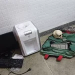 Roubo DPT crânio