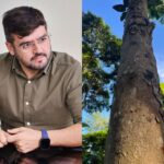 Valderico Junior e Pau Brasil