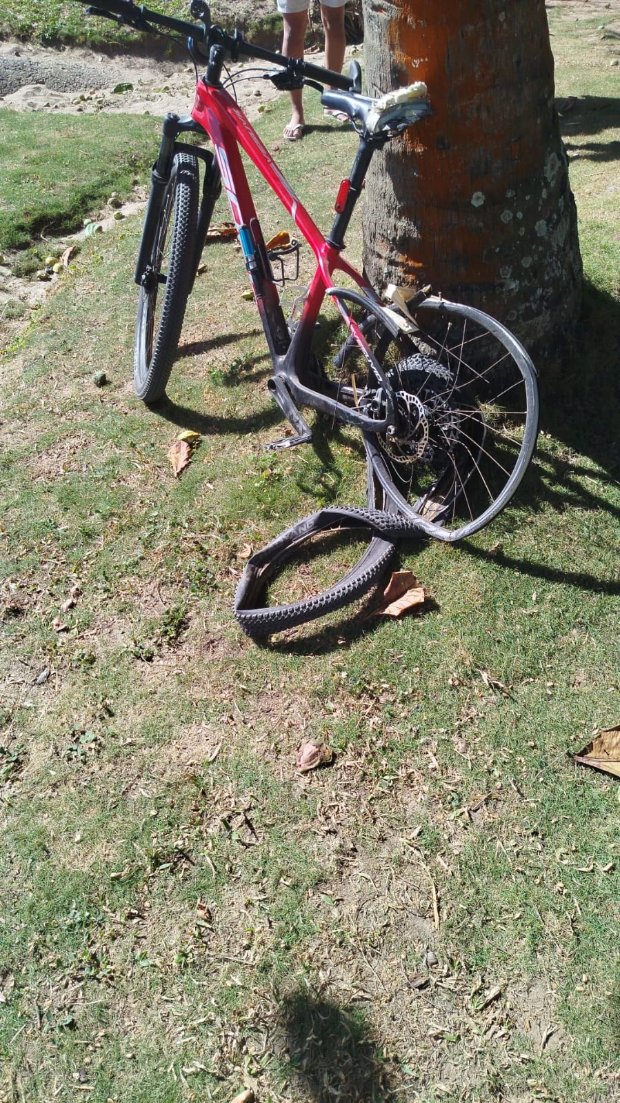 Ciclista morto