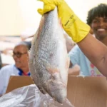 peixe