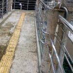 Abandono UFSB