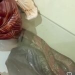 Cobra residencial Vilela