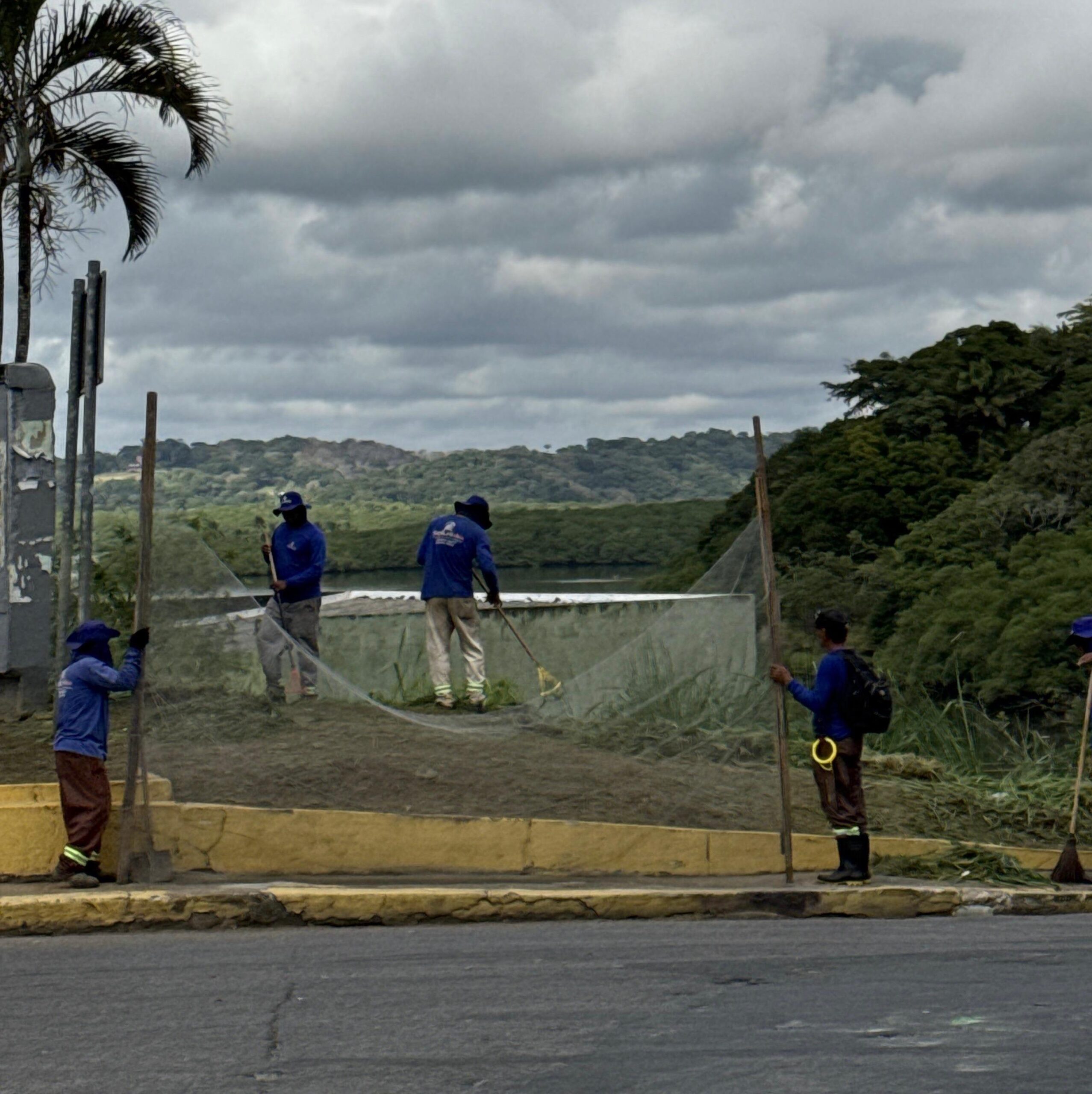 limpeza cidade capinagem