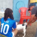 Vacinação antirrabica