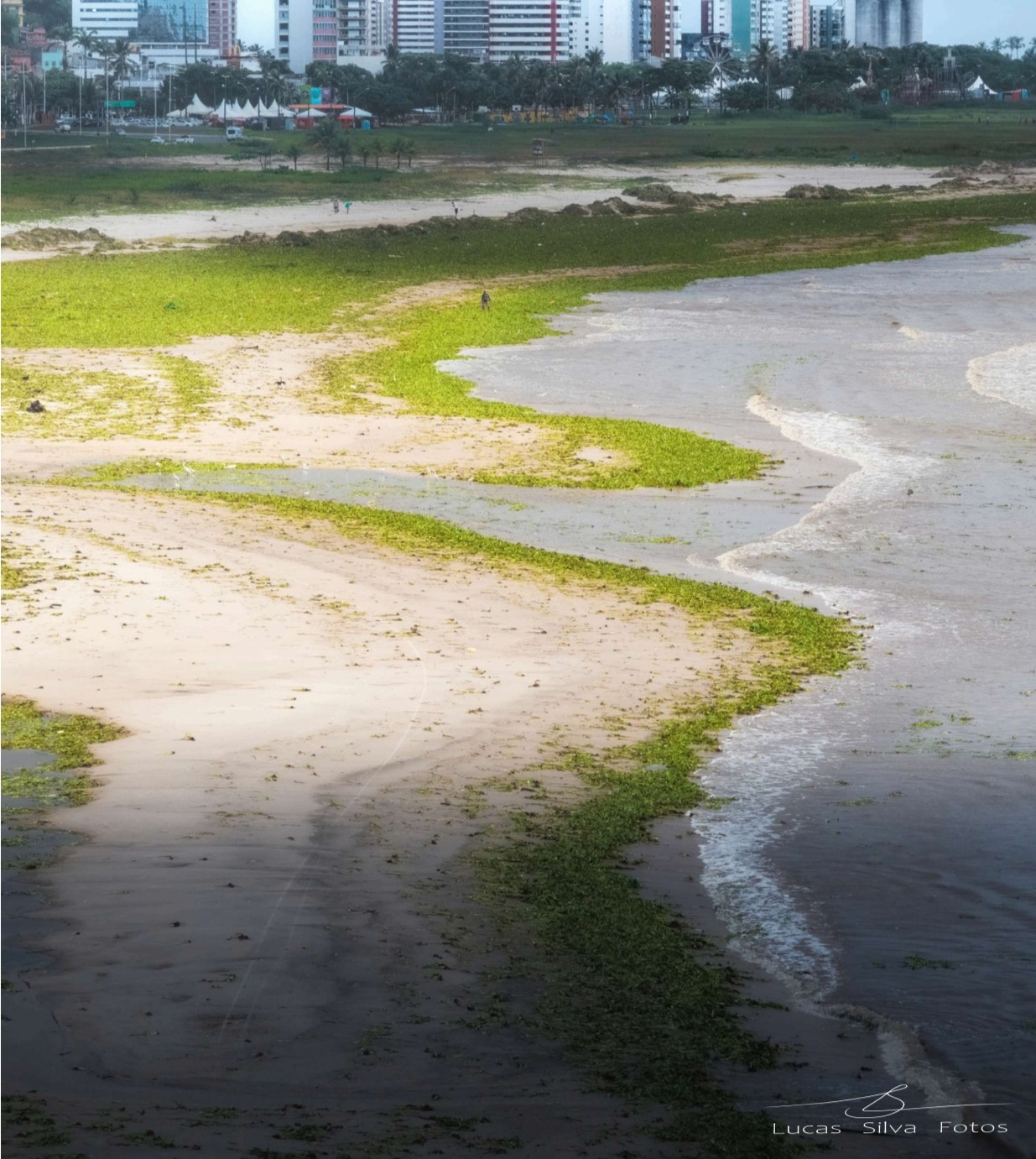 E-book da UFSB e UESC Alerta para Crise Socioeconômica e Ambiental em Ilhéus Causada pelas Baronesas