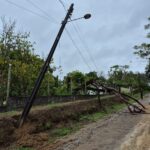 Árvore caiu na zona rural