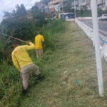 Capinagem Rua Amélia Nunes