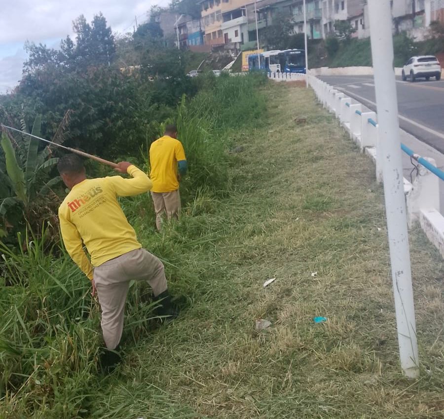 Capinagem Rua Amélia Nunes