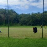 Limpeza campos do Iguape
