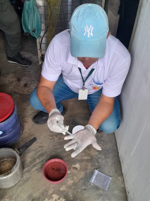 Agente de combate as endemias