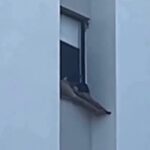 Homem em surto ilhéus praia hotel