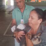 Vacinação gatos e cães