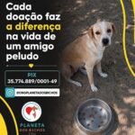Ong planeta dos bichos