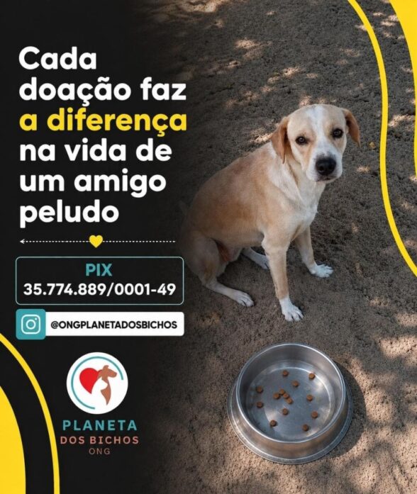 Ong planeta dos bichos