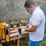 Combate a dengue arboviroses agentes de saúde