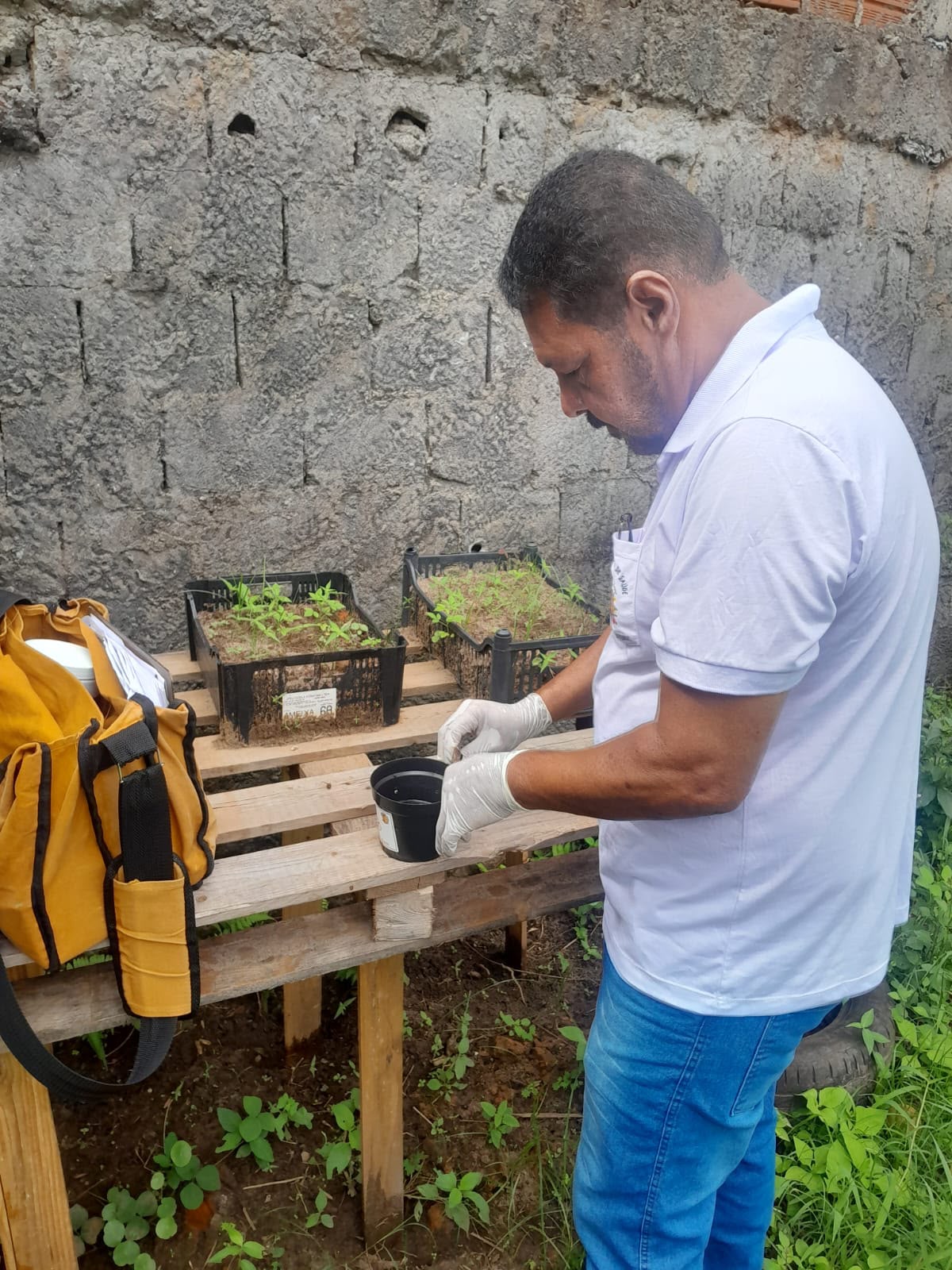 Combate a dengue arboviroses agentes de saúde